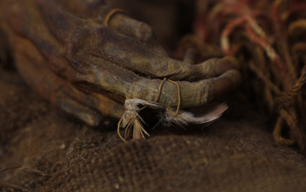 Mummified remains of Incan ‘Princess’ who died 500 years ago finally returned to Bolivia