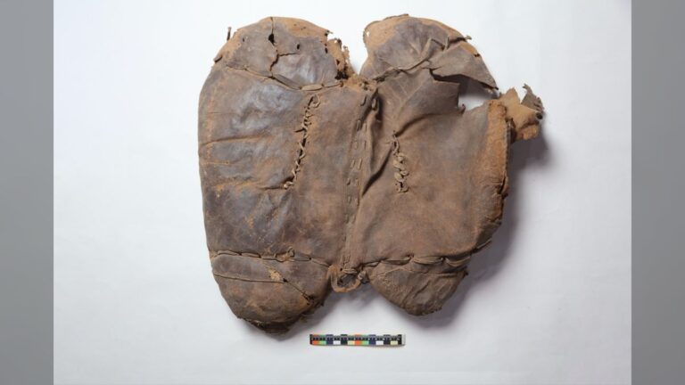 2,700-year-old leather saddle found in woman’s tomb in China is oldest on record