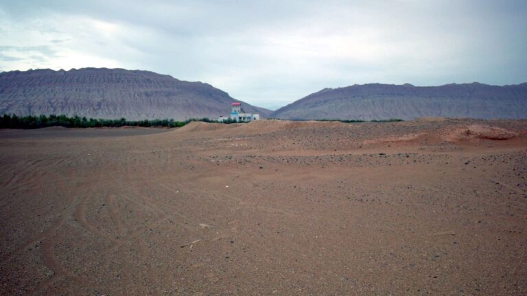 2,700-year-old leather saddle found in woman’s tomb in China is oldest on record