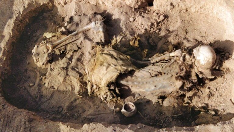 2,700-year-old leather saddle found in woman’s tomb in China is oldest on record