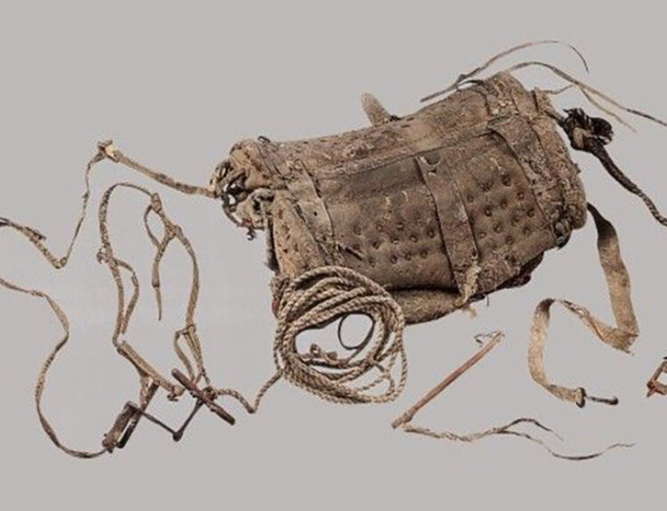 2,700-year-old leather saddle found in woman’s tomb