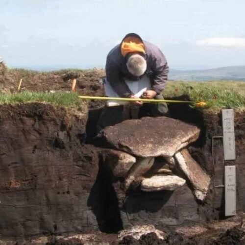 Bronze Age burial chamber discovered on Dartmoor, England