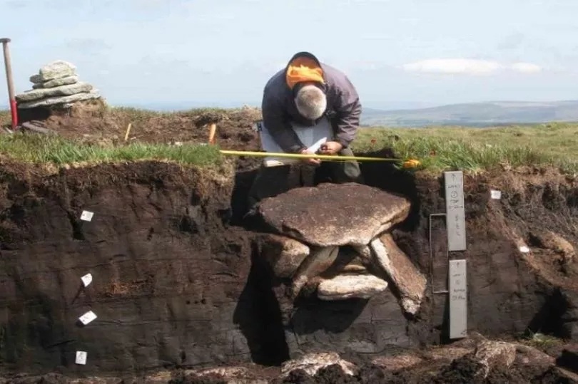 Bronze Age burial chamber discovered on Dartmoor, England