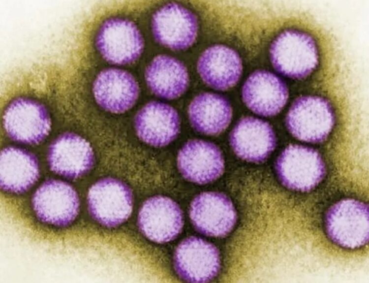 Oldest Known Human Viruses Discovered In 50,000-year-old Neanderthal Remains