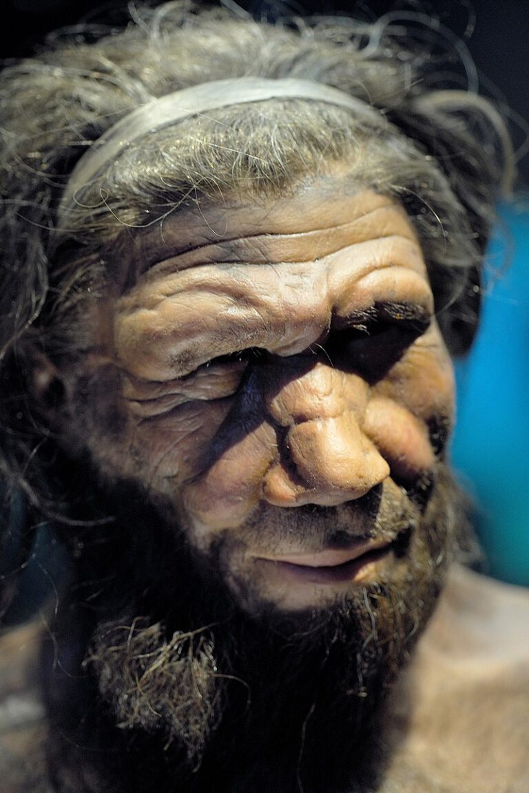 Oldest Known Human Viruses Discovered In 50,000-year-old Neanderthal ...