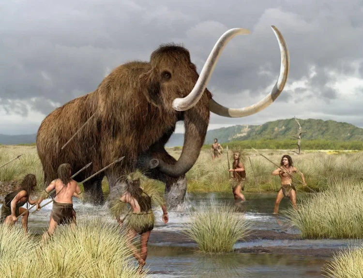 Comparison Of American Languages Detects Waves Of Migration