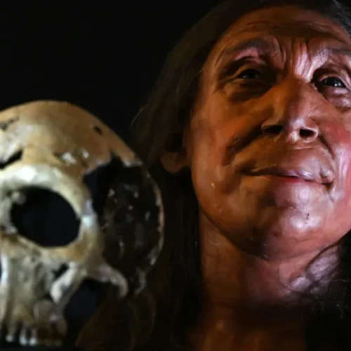 Face Of A 75,000-year-old Neanderthal Woman Revealed By Scientists