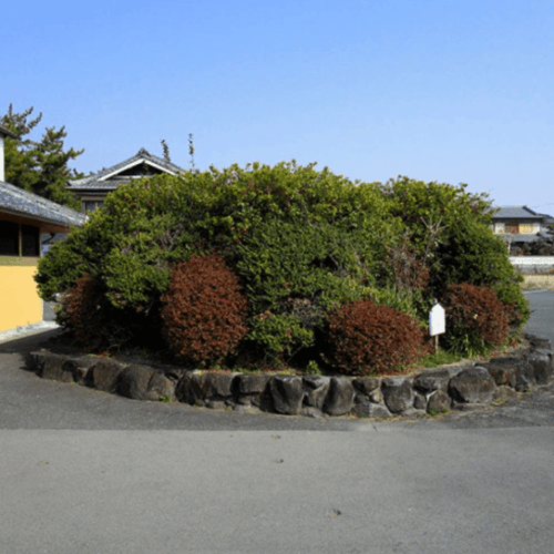 Ancient Elite Tomb From 6th Century Discovered Beneath Parking Lot in Japan