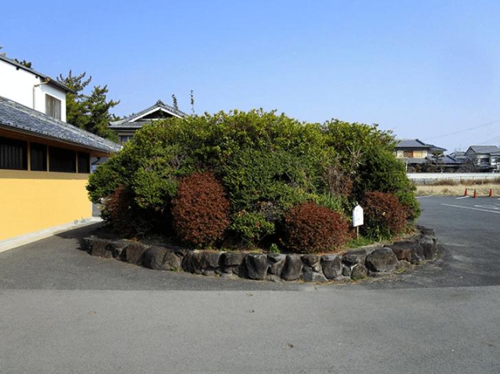 Ancient Elite Tomb From 6th Century Discovered Beneath Parking Lot in Japan