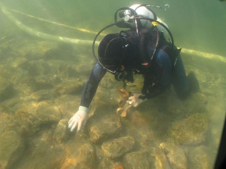 2,500-Year-Old Greek City of Phanagoria Reveals Stele of Persian King Darius I — One-Third Now Underwater