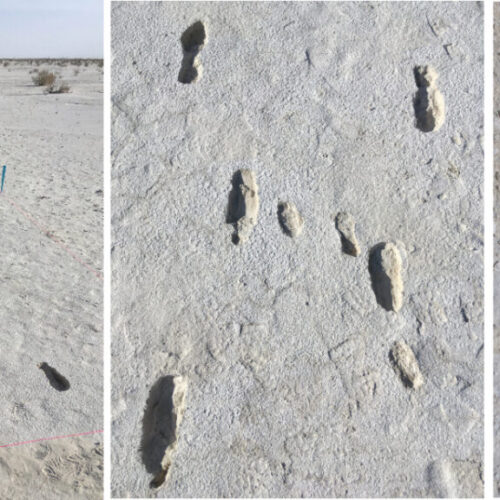12,000-Year-Old Human Footprints Found at White Sands National Park