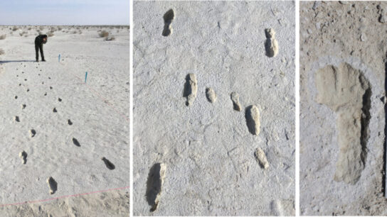 12,000-Year-Old Human Footprints Found at White Sands National Park