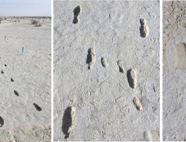 12,000-Year-Old Human Footprints Found at White Sands National Park