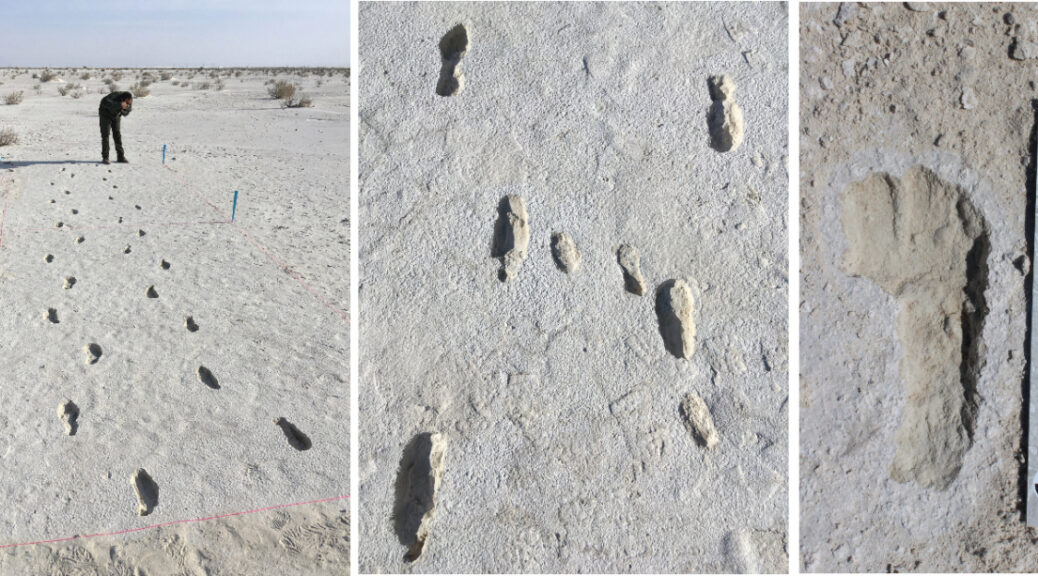 12,000-Year-Old Human Footprints Found at White Sands National Park