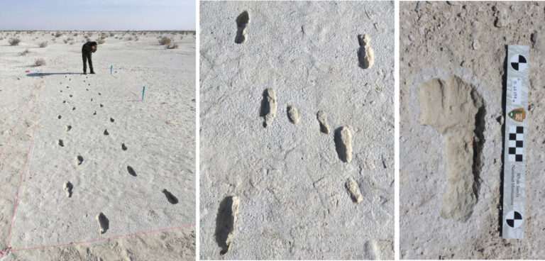 12,000-Year-Old Human Footprints Found at White Sands National Park