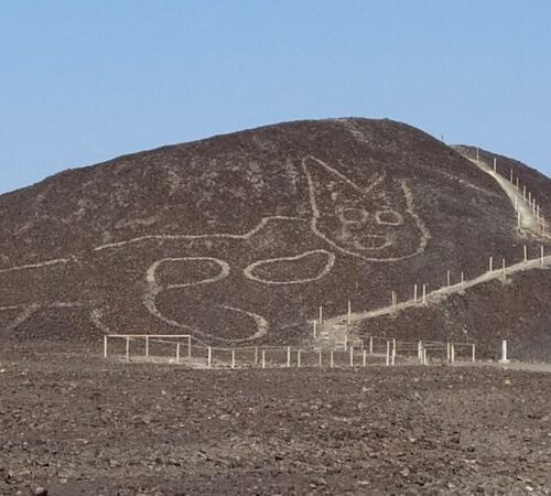 Large 2,000-Year-Old Cat Geoglyph Discovered in Peru’s Nazca Lines Desert
