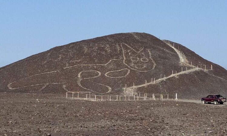 Large 2,000-Year-Old Cat Geoglyph Discovered in Peru’s Nazca Lines Desert