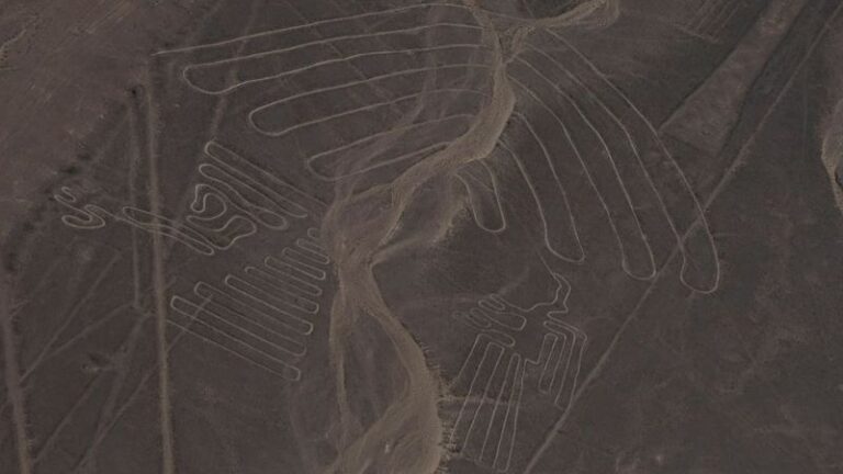 Large 2,000-Year-Old Cat Geoglyph Discovered in Peru’s Nazca Lines Desert