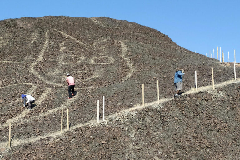Large 2,000-Year-Old Cat Geoglyph Discovered in Peru’s Nazca Lines Desert