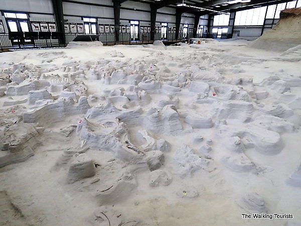 Hundreds of 12-Million-Year-Old Prehistoric Animals Discovered in Nebraska’s Volcanic Ashfall Fossil Beds