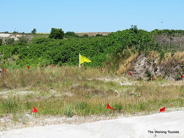 Hundreds of 12-Million-Year-Old Prehistoric Animals Discovered in Nebraska’s Volcanic Ashfall Fossil Beds