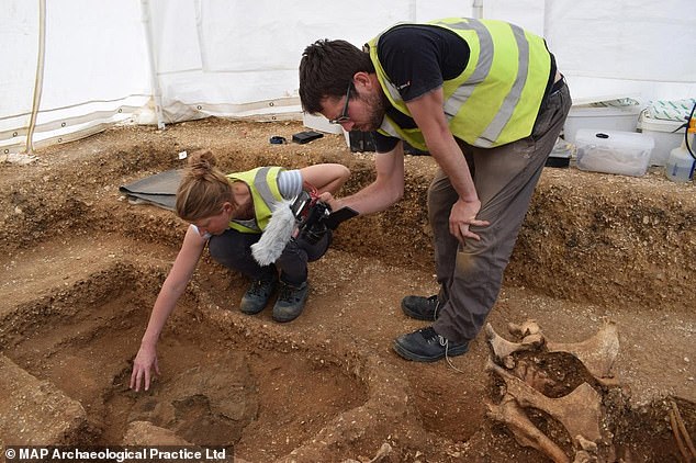 Iron Age chariot burial found in East Yorkshire with horses ‘leaping out of the grave’