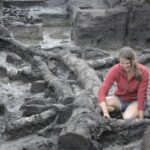 6,000 Years Older then Stonehenge: Oldest house in Britain discovered to be 11,500 years old