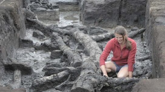 6,000 Years Older then Stonehenge: Oldest house in Britain discovered to be 11,500 years old