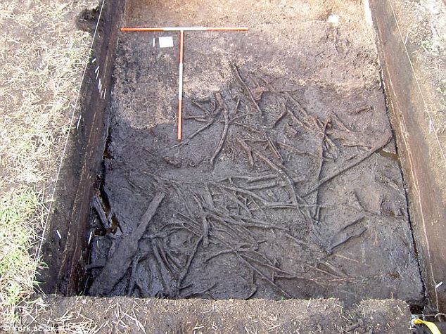 6,000 Years Older then Stonehenge: Oldest house in Britain discovered to be 11,500 years old