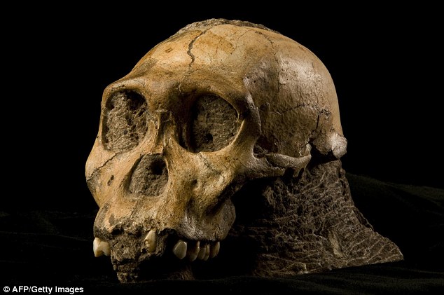 2-Million-Year-Old Human Ancestor Preserved Tissue Maybe the oldest skin ever discovered