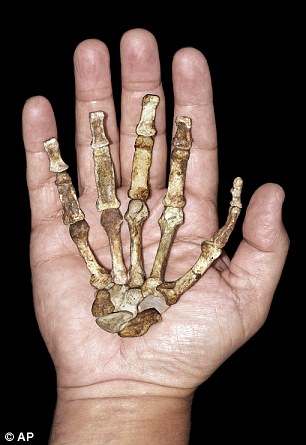 2-Million-Year-Old Human Ancestor Preserved Tissue Maybe the oldest skin ever discovered