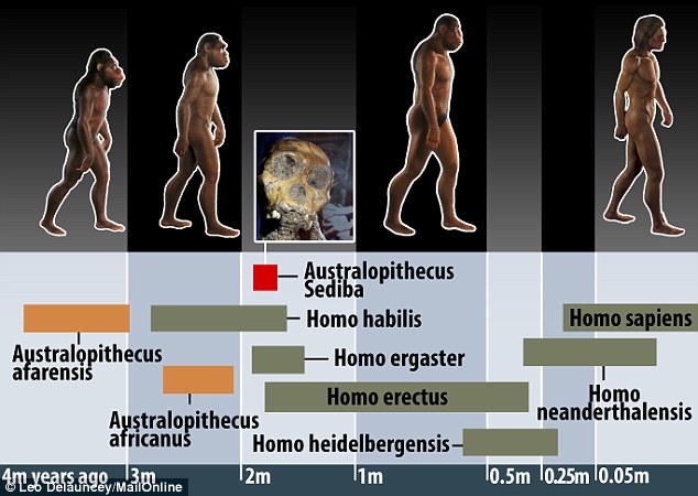 2-Million-Year-Old Human Ancestor Preserved Tissue Maybe the oldest skin ever discovered