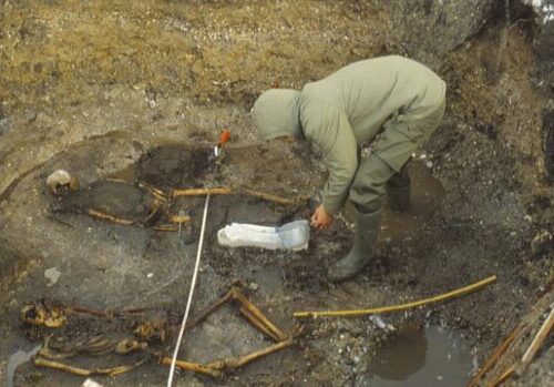 Viking Grave in Denmark Reveals 1,000-Year-Old Mother and Son Burial