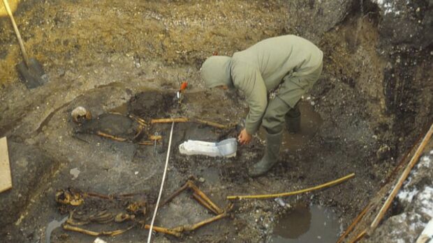 Viking Grave in Denmark Reveals 1,000-Year-Old Mother and Son Burial