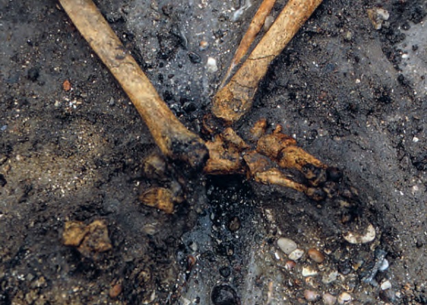 Viking Grave in Denmark Reveals 1,000-Year-Old Mother and Son Burial