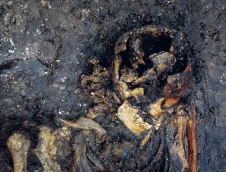 Viking Grave in Denmark Reveals 1,000-Year-Old Mother and Son Burial