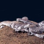Grauballe Man: The Remarkably Preserved 2,300-Year-Old Bog Body Found in Denmark