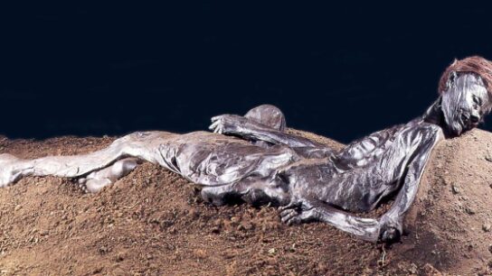 Grauballe Man: The Remarkably Preserved 2,300-Year-Old Bog Body Found in Denmark