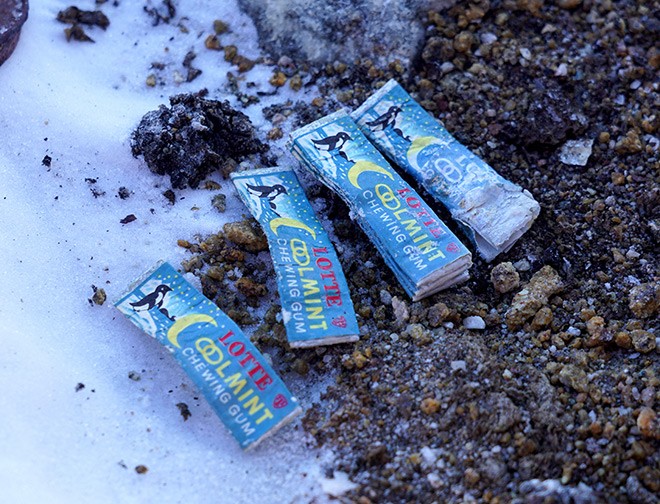 1965 Japanese Antarctic Expedition Emergency Food Found After 60 Years