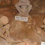 700,000-Year-Old Petralona Skull Found in Greece Sparks Debate on Human Origins