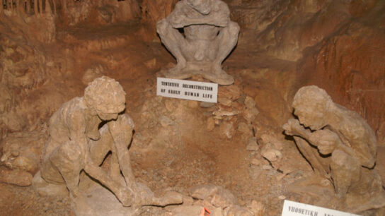 700,000-Year-Old Petralona Skull Found in Greece Sparks Debate on Human Origins