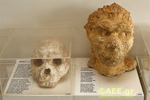 700,000-Year-Old Petralona Skull Found in Greece Sparks Debate on Human Origins