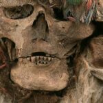 500-Year-Old Inca Mummies and Feathered Nobles Unearthed Near Lima, Peru