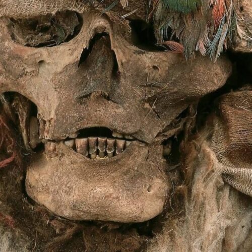 500-Year-Old Inca Mummies and Feathered Nobles Unearthed Near Lima, Peru