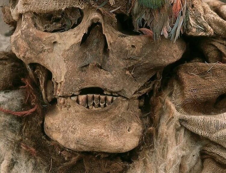 500-Year-Old Inca Mummies and Feathered Nobles Unearthed Near Lima, Peru