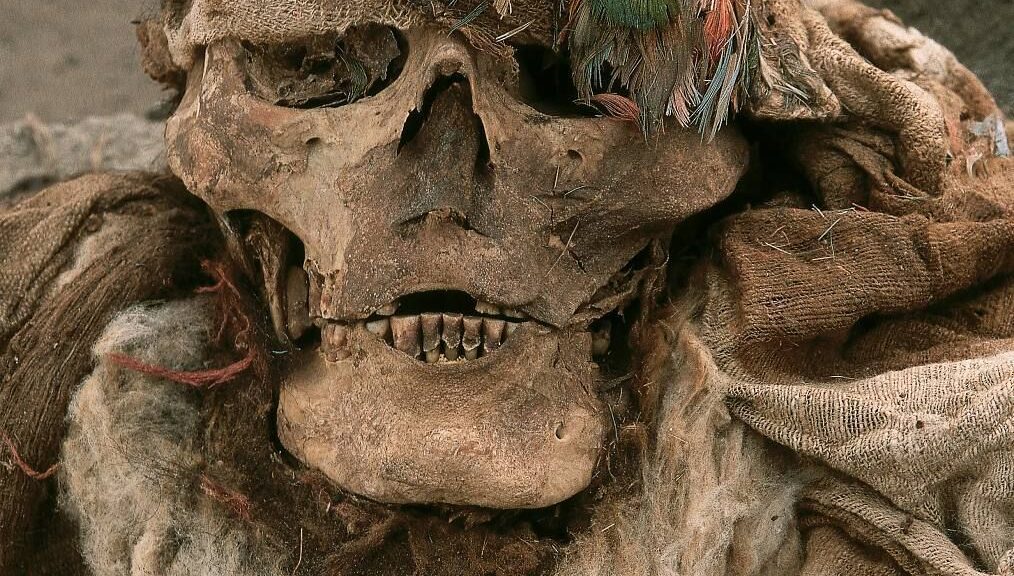 500-Year-Old Inca Mummies and Feathered Nobles Unearthed Near Lima, Peru