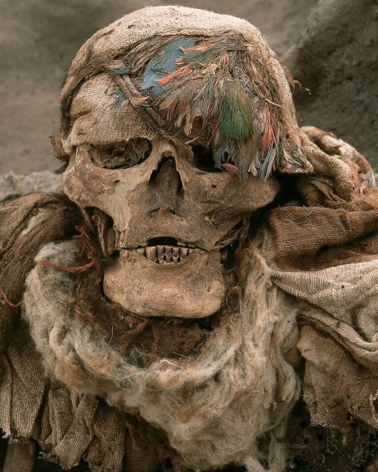 500-Year-Old Inca Mummies and Feathered Nobles Unearthed Near Lima, Peru