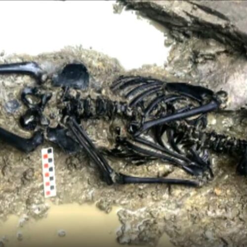 Viking-Era Child’s Remains Discovered Near Dublin Castle in Ireland