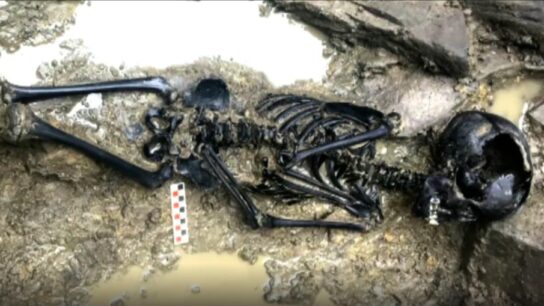 Viking-Era Child’s Remains Discovered Near Dublin Castle in Ireland