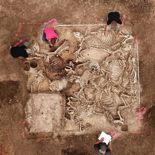 Ancient Germanic Lord Buried with Six Women Discovered in Germany